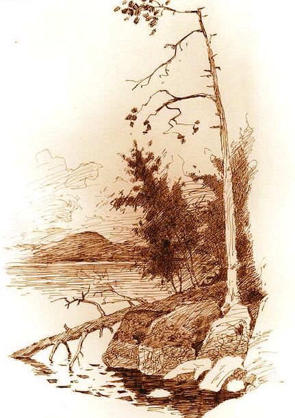 Dessin à l'encre - Celestine G