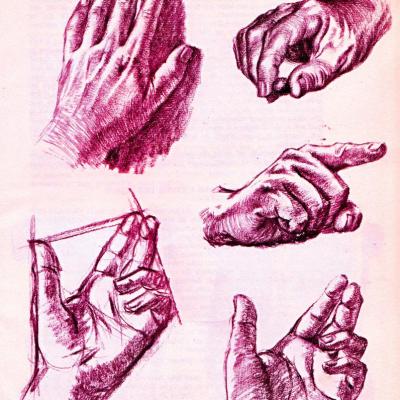 Dessins à la sanguine - Kelly L